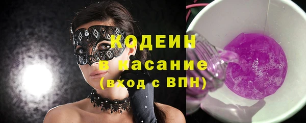 хмурый Алзамай