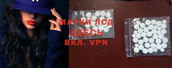 хмурый Алзамай