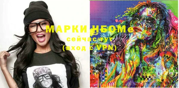 хмурый Алзамай