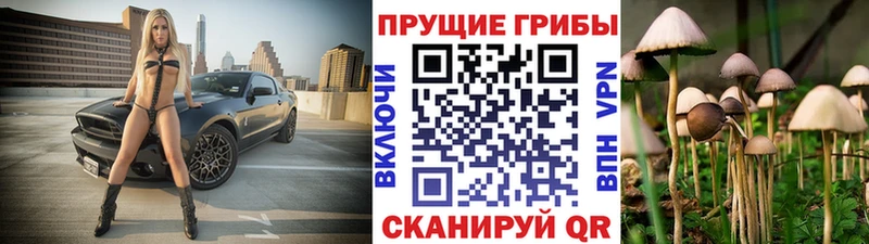 Псилоцибиновые грибы Cubensis  МЕГА tor  Благодарный 